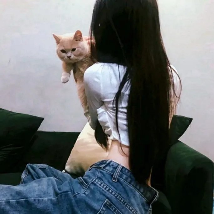 江湖男女