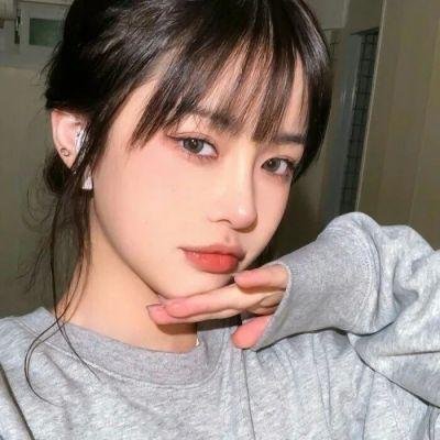 藏獒情未了